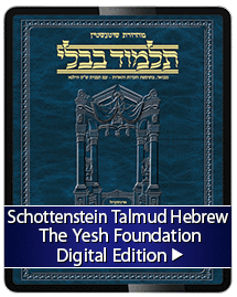 Schottenstein Hebrew Talmud - The Yesh Foundation Digital Edition