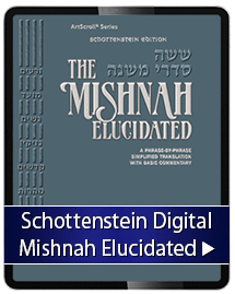 Schottenstein Digital Mishnah Elucidated English