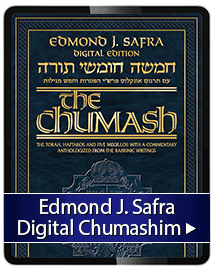 Edmond J Safra Digital Chumashim