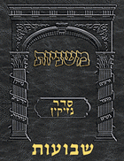 Digital Mishnah Original #36 Shevuos
